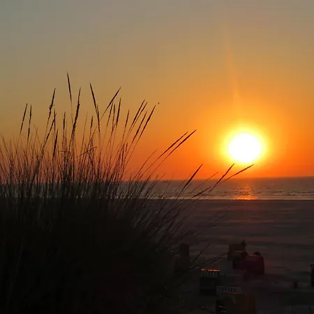 Haus Wilhelmstr 49 Coco