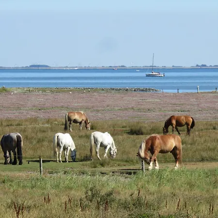 Haus Wilhelmstr 49 Coco דירה ג'וסט